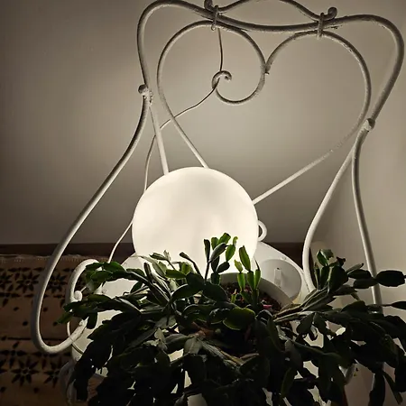 Daire Modern, Ruhig, Gemuetlich Inmitten Der Rhoen