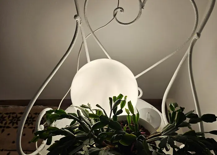 Daire Modern, Ruhig, Gemuetlich Inmitten Der Rhoen